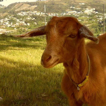 Quinta Do Monte